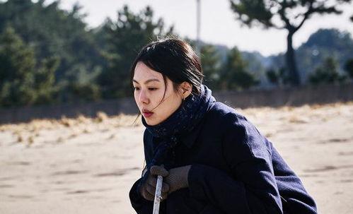 昔我晚矣我在娱乐圈吃瓜